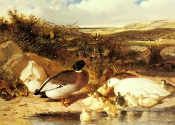 Canards colverts et canetons sur un hareng de rivière Snr John Frederick Cheval Peinture à l'huile
